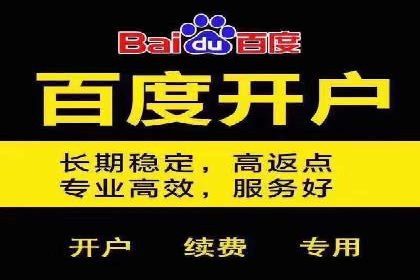 搜索引擎营销（SEM）的经典案例分析